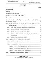 Hoàn thiện công tác kế toán nguyên vật liệu tại nhà máy granite trung đô 