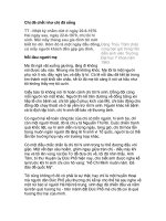 Những câu chuyện... nhật ký Đặng Thùy Trâm