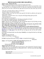 De tu luan thi vao lơp 10