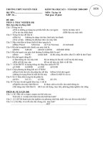 ĐỀ CƯƠNG ÔN TẬP VÀ KT HỌC KÌ I TIN 10 - 2009