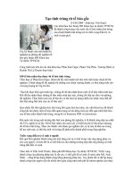 TẠO TINH TRÙNG TỪ TẾ BÀO GỐC