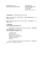 Đề tham khảo ôn thi TN12 Ngữ Văn (4)