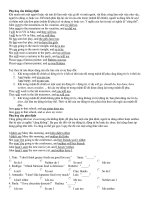 Phụ họa câu khăng Định - phủ định