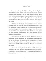 Chiến lược Marketing mix tại các cửa hàng cung cấp dịch vụ trọn gói