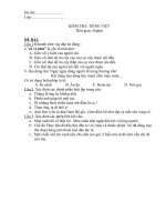 ĐỀ KIỂM TRA TIẾNG VIỆT  LỚP 9  (45 P(Y JÚT)