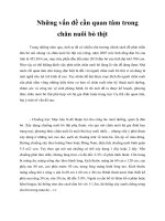 Những vấn đề cần quan tâm trong chăn nuôi bò thịt 