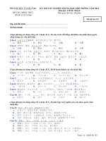 Đề thi tốt nghiệp trung học phổ thông năm 2013 môn tiếng nhật