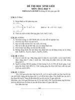 ĐỀ HSG Hóa 9