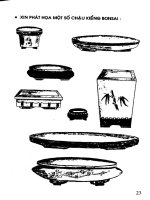 Kỹ thuật trồng và uốn tỉa bon sai part 3 