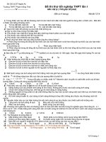 đề thi thử tn 2009 duy phú