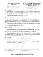 ĐỀ THI CHỌN HỌC SINH GIỎI TỈNH LỚP 10 THPT NĂM HỌC 2012-2013 MÔN TOÁN - SỞ GIÁO DỤC VÀ ĐÀO TẠO HẢI DƯƠNG 