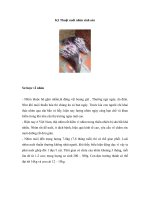 Kỹ thuật nuôi nhím sinh sản 