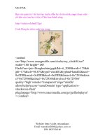 Code đồng hồ chim cảnh