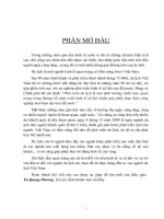 MỘT SỐ BIỆN PHÁP THU HÚT VÀ SỬ DỤNG HIỆU QUẢ  VỐN ĐẦU TƯ VÀO DU LỊCH