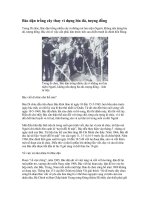 Bacvs dặn trồng cây