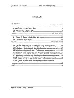 Quy hoạch làng Tiếng Anh