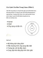 Các lệnh căn bản trong linux (phần i) 