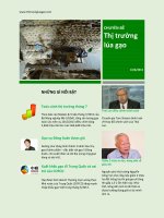 Chuyên đề thị trường Lúa gạo