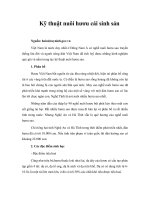 Kỹ thuật nuôi hươu cái sinh sản 