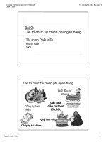 Các tổ chức tài chính phị ngân hàng 