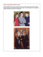 Tệp ảnh bộ ba trưởng thành cùng Harry Potter