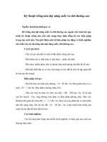 Kỹ thuật trồng mía đạt năng suất và chữ đường cao 