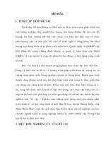 Nghiên cứu những giải pháp chủ yếu nhằm phát triển kinh tế  x• hĩi vùng kinh tế mới bắc ô lâu, huyện phong điền, tỉnh thừa thiên huế 