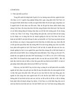 chuyen de tot nghiep du lich MICEx 