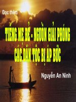 tiếng mẹ đẻ (hoàn chỉnh, khoa học)