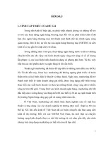 Hoàn thiện chính sách marketing mix tại chi nhánh ngân hàng ngoại thương quảng bình 