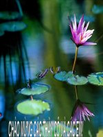 bài 5 lịch sử 10