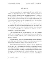 “ Kế toán bán hàng và xác định kết quả kinh doanh trong doanh nghiệp thương mại - Khảo sát thực tế tại Công ty Cổ phần Đầu tư Châu á