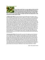 Bảo quản rau quả tươi 