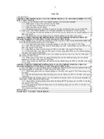 Hoàn thiện hệ thống báo cáo tài chính áp dụng cho các doanh nghiệp có vốn đầu tư nước ngoài ở Việt Nam