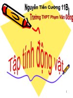Nguyễn Tiến Cường - Lớp 11B1