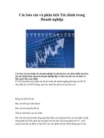 Các báo cáo và phân tích tài chính trong doanh nghiệp 