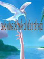 CaHuế trên sông Hương