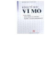 Kinh tế học vĩ mô 