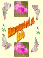 Tiếng Việt .Lớp 5. Tuần 7