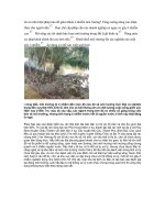 bai tham khao moi truong