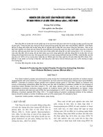 NGHIÊN CỨU SẢN XUẤT SẢN PHẨM BỘT UỐNG LIỀN TỪ DỊCH TRÍCH LY LÁ DÂU TẰM (Morus alba L.) VIỆT NAM