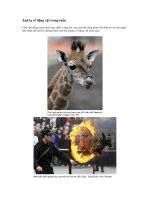 ẢNH LẠ VỀ ĐỘNG VẬT