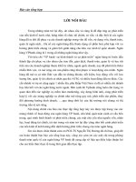 PHƯƠNG HƯỚNG PHÁT TRIỂN- GIẢI PHÁP NHẰM PHÁT TRIỂN HOẠT ĐỘNG KINH DOANH CỦA NGÂN HÀNG VPBANK