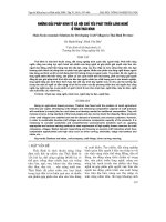 NHữNG GIảI PHáP KINH Tế Xã HộI CHủ YếU PHáT TRIểN LàNG NGHề ở TỉNH THáI BìNH