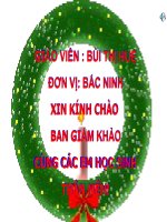 su phat trien cua gioi thuc vat.