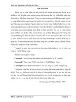 Giải pháp hoàn thiện CCTC của công ty TNHH Tiếng Vang 