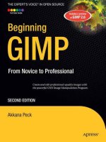 Beginning GIMP from novice to professional 2nd edtion