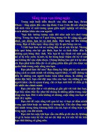 song tron ven tung ngay(hay doc de suy ngam)