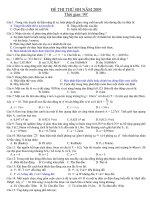 Đề thi thử ĐH (Đáp án)