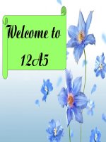 Unit 8: Reading (grade 12)